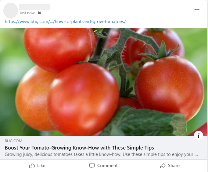 How an article looks like on Facebook, how it pulls the page title through as part of the description.