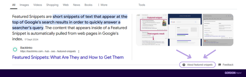 A screenshot with the About Featured Snippets notification being dislplayed via a red box and arrow