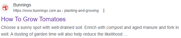 SERP results of the Bunnings article 
